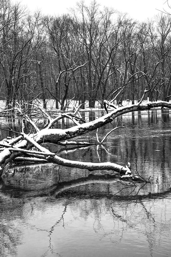 Fallen Dead Tree Trunk in the River during Winter Photograph by Randall Nyhof