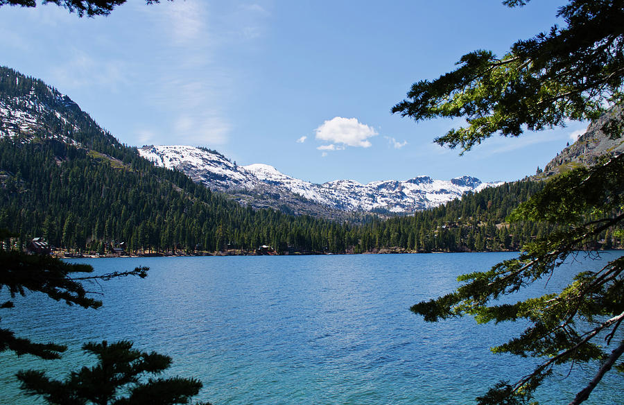 Fallen Leaf Lake Photograph by Mindy Linford - Fine Art America
