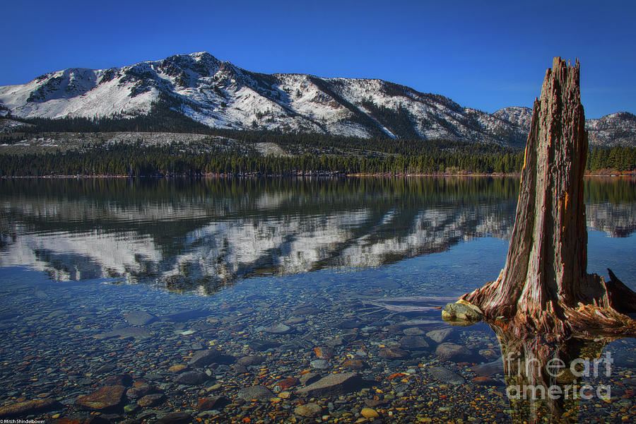 Fallen Leaf Lake Reflecting Photograph by Mitch Shindelbower