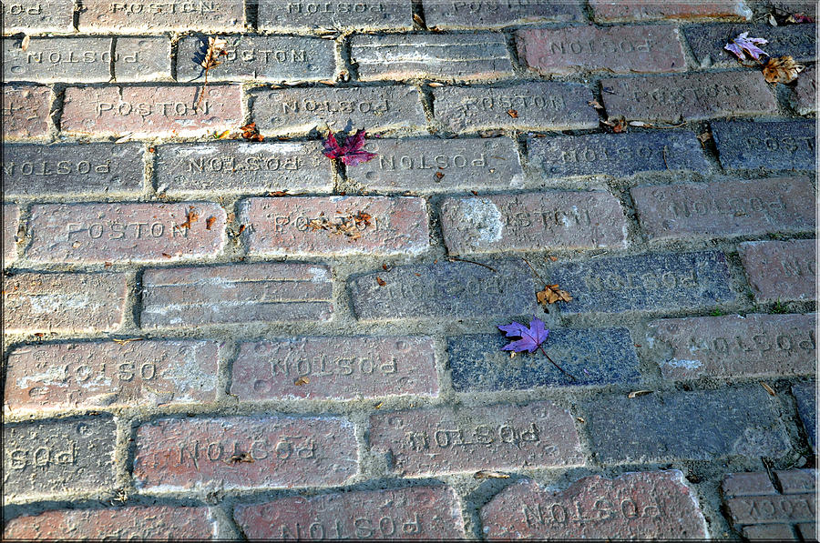 Brick Photograph - Fallen Leaves by Brittany Horton