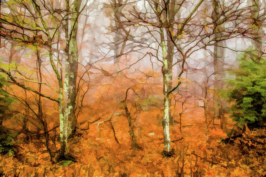 Fallen Leaves in the Forest Digital Art by Lisa Lemmons-Powers