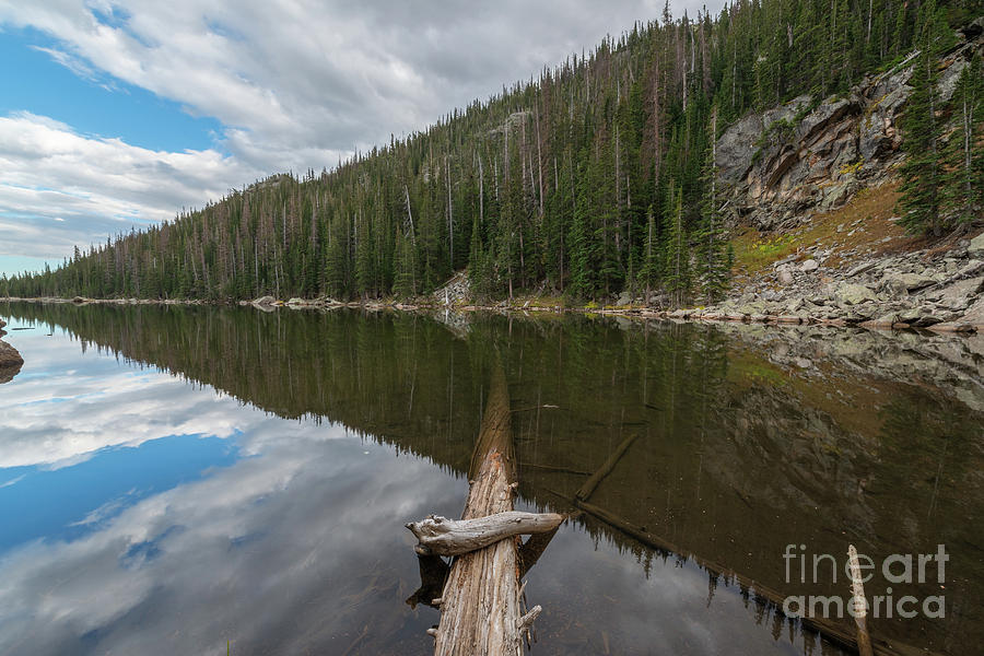 Fallen Log in Dream Lake Photograph by Michael Ver Sprill