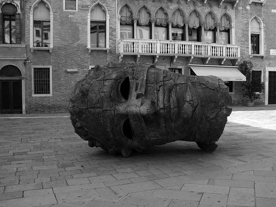 Venice Photograph - Fallen by Mary Capriole