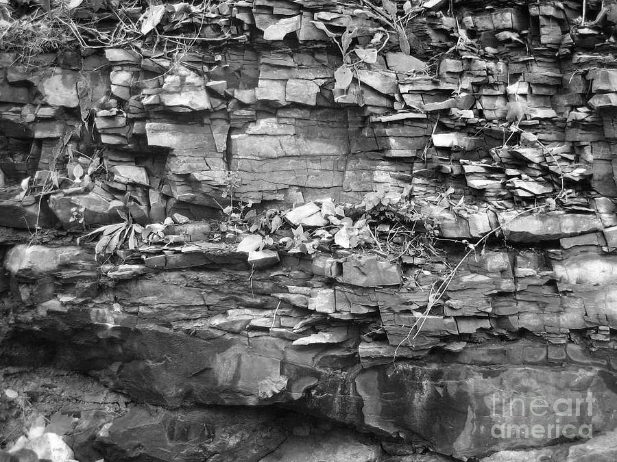 Landscape Photograph - Fallen Rocks by Reb Frost
