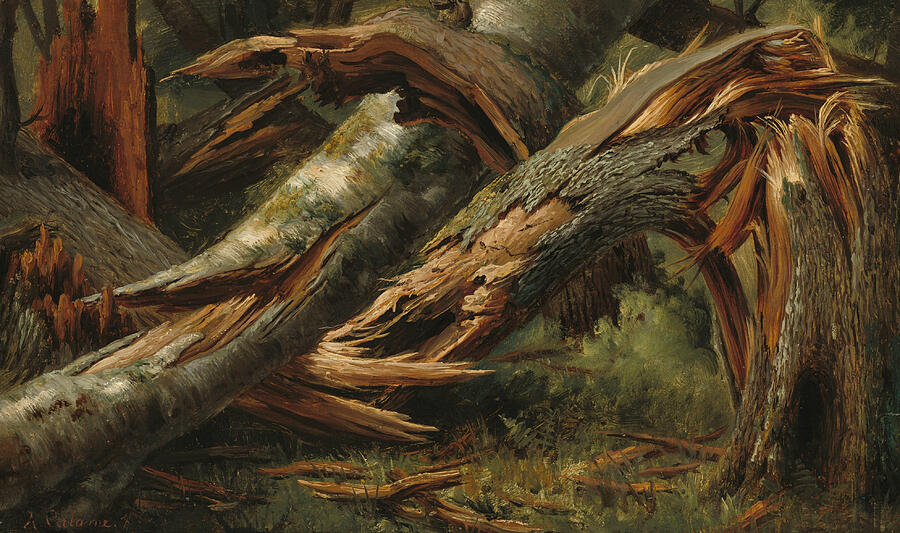 Fallen Tree, from circa 1839-1845 Painting by Alexandre Calame