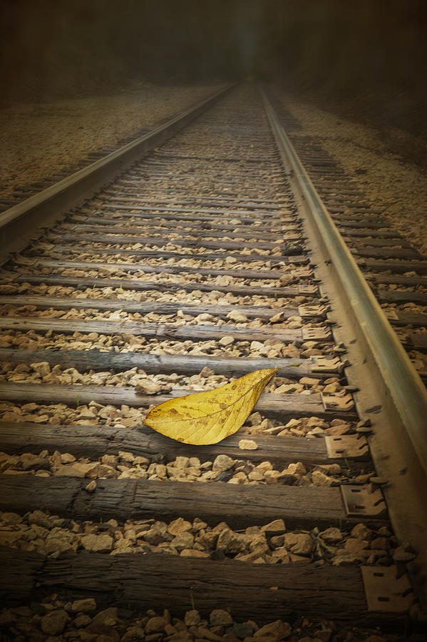 Fallen Yellow Autumn Leaf on the Railroad Tracks Photograph by Randall Nyhof