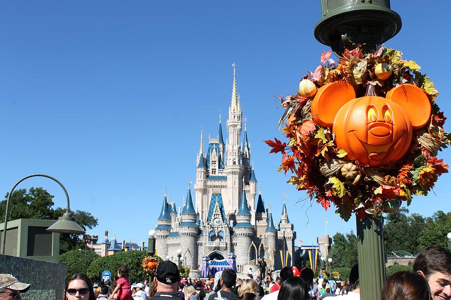 Fall Photograph - Fallin for Disney by Jennifer Raines