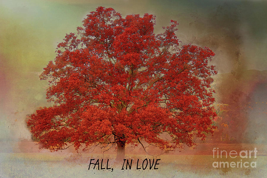 Fall,,In Love Photograph by Geraldine DeBoer