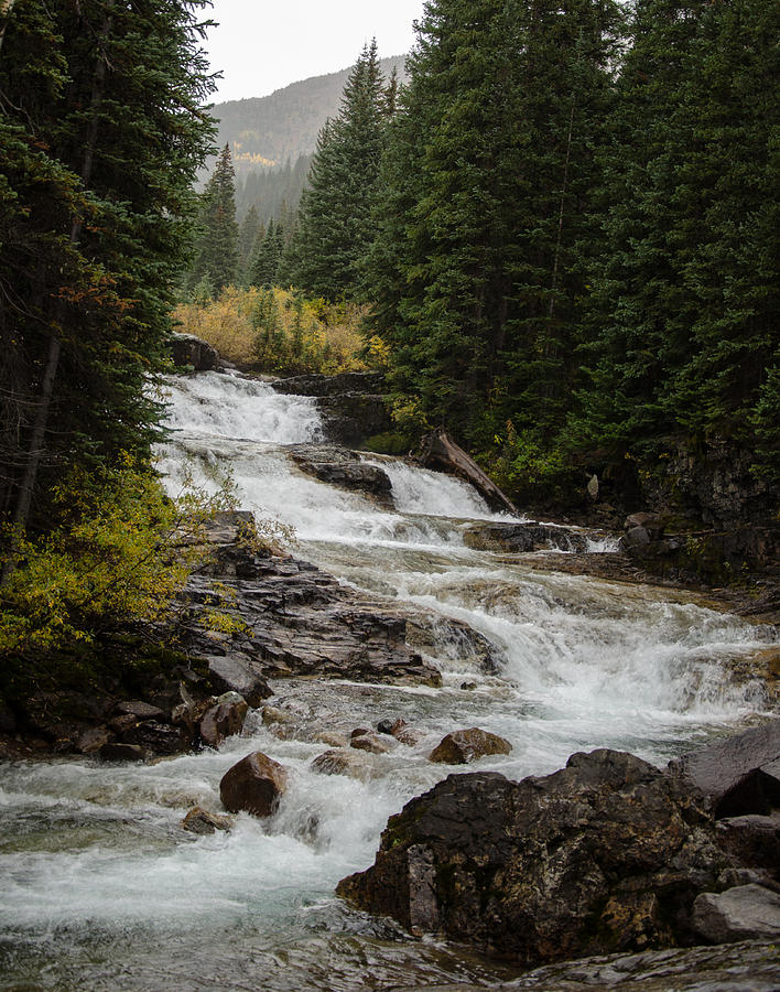 Winter In The Cascades Photograph By Steve Warnstaff