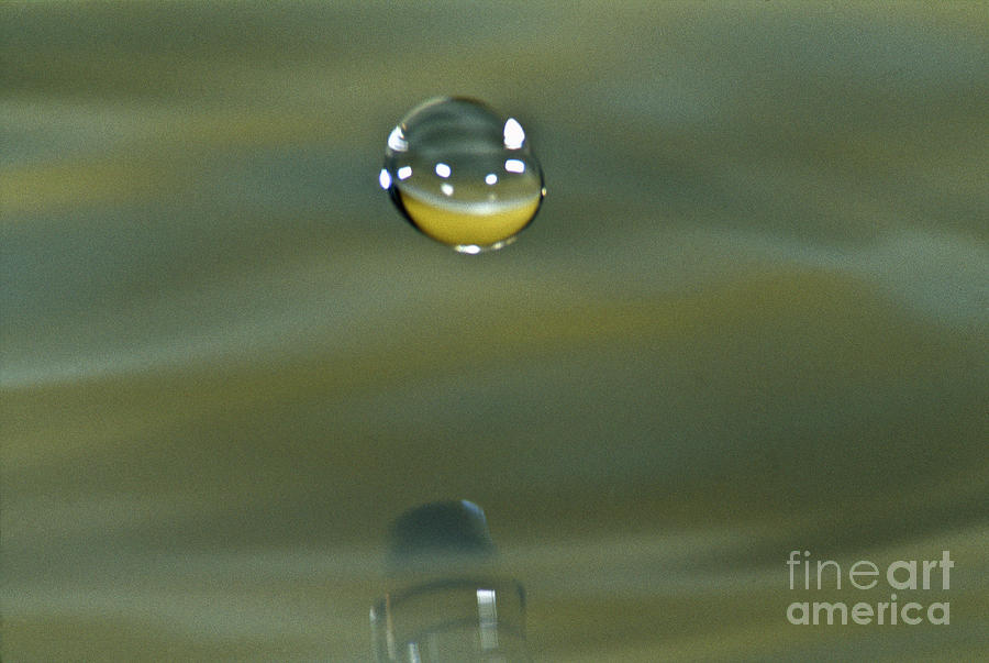 Falling droplet Photograph by Heiko Koehrer-Wagner
