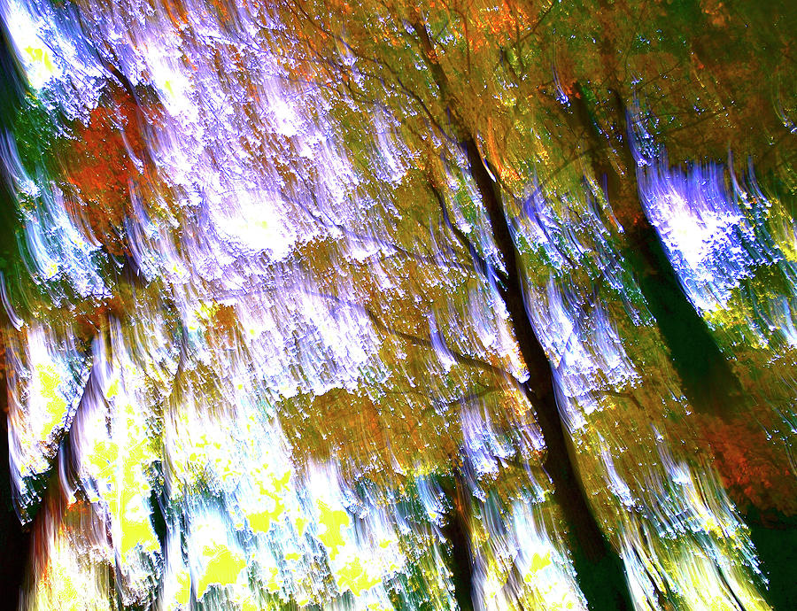 Fall Photograph - Falling by Gwendolyn Christopher