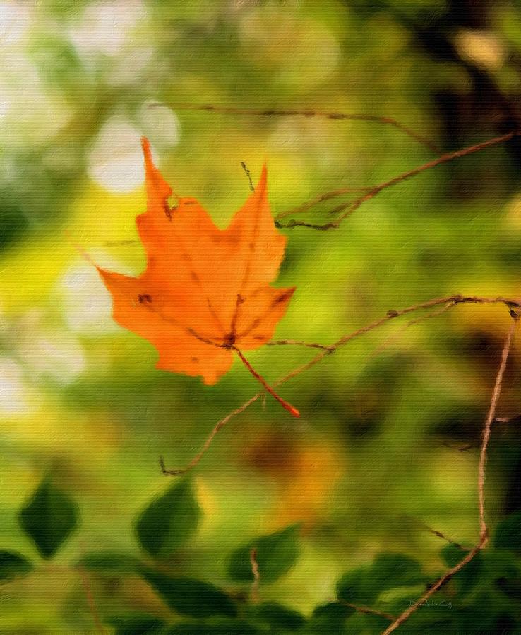 Falling Leaf Photograph by Diane Lindon Coy