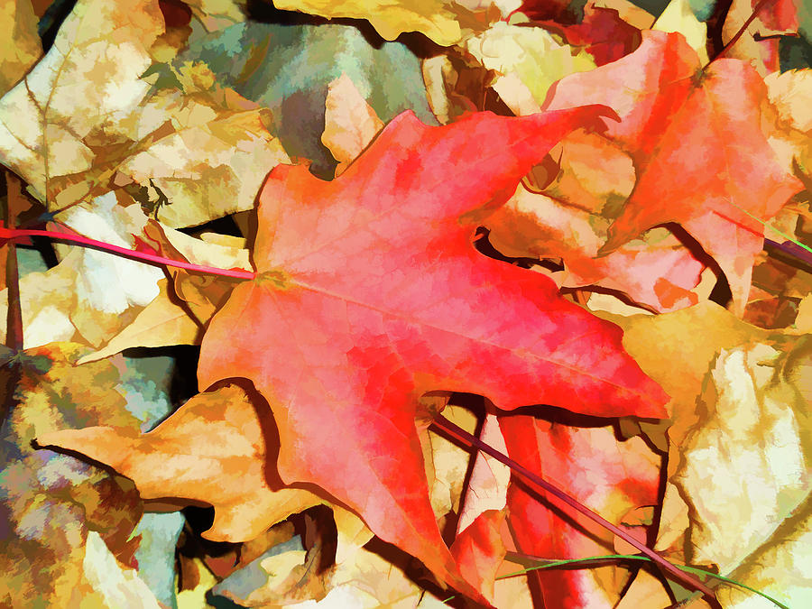 Falling leaves of red and gold Painting by Jeelan Clark