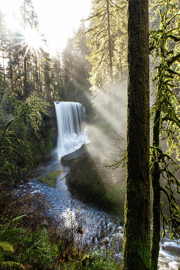 Waterfall Photograph - Falling Light by Sean McClay