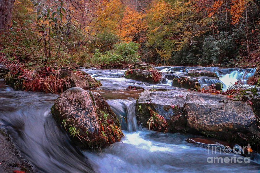 Falling Mountain Stream Photograph by Tom Claud