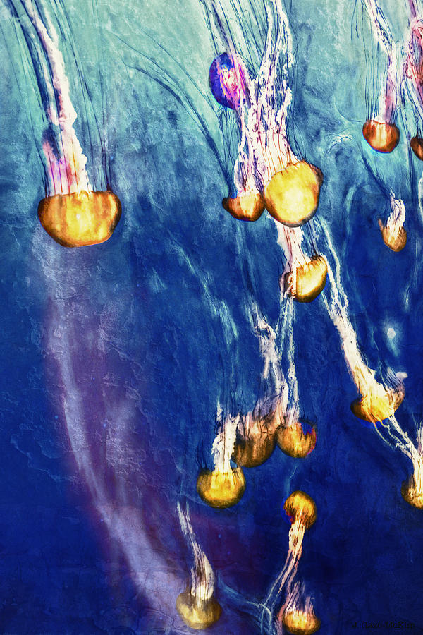 Falling Streams Digital Art by Jo-Anne Gazo-McKim