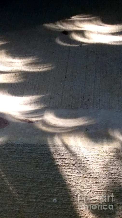 Eclipse Photograph - Falling sunlight by Melinda Dare Benfield