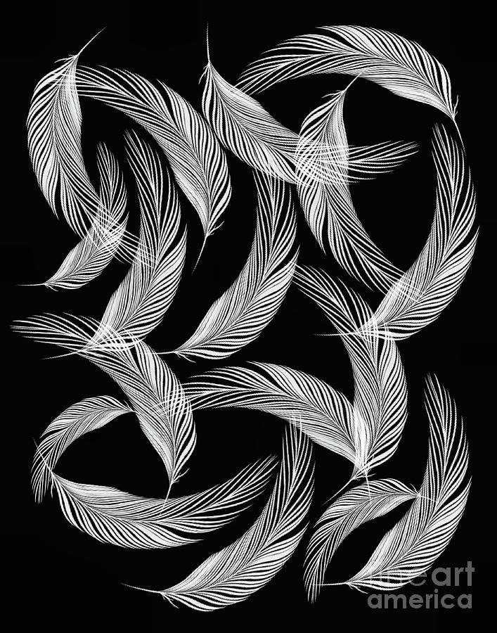 Falling White Feathers Digital Art by Smilin Eyes Treasures