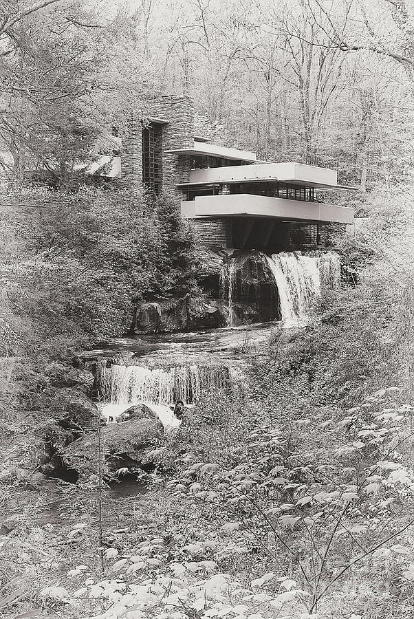 Fallingwater In Bw Photograph