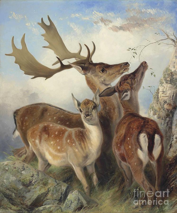 Blue Water Painting - Fallow deer by MotionAge Designs