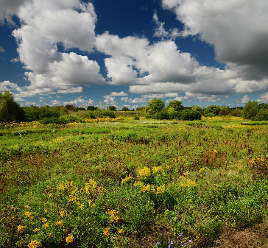 Fallow farm land with natural wildflowers in Fall with clouds an ...