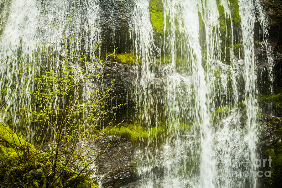 Waterfall Photograph - Falls and Spring Green by Patricia Babbitt