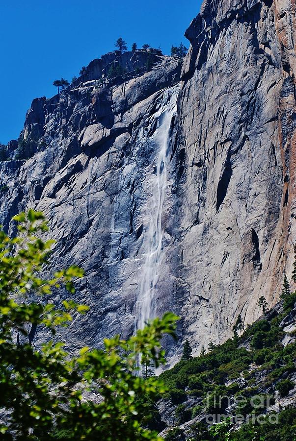 Falls at Yosemite Photograph by William Wyckoff