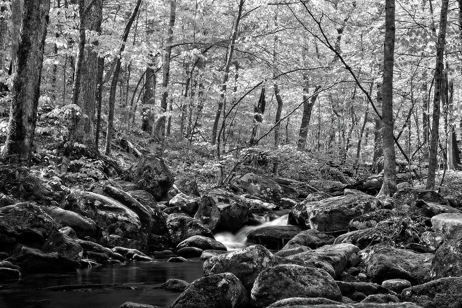 Falls Brook Rush Black and White Photograph by Allan Van Gasbeck