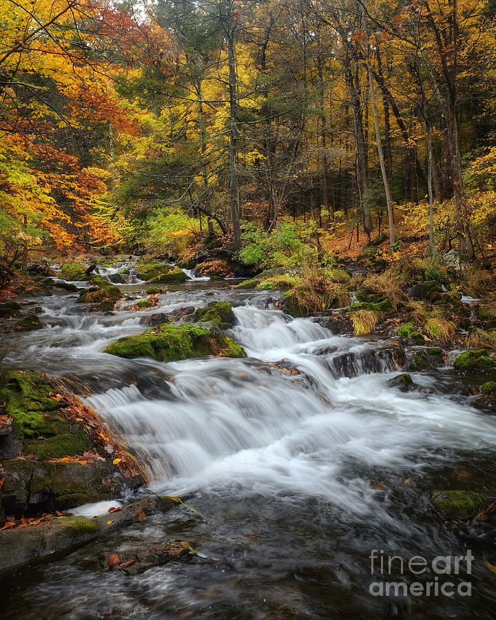 Waterfall Photograph - Falls by Claudia Kuhn