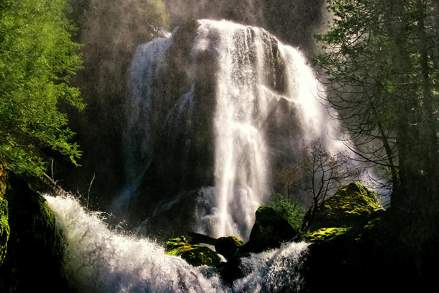 Falls Creek Falls Photograph by Albert Seger