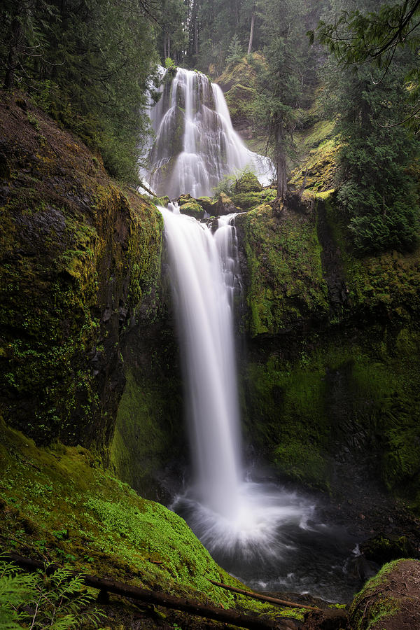 Falls Creek Falls Photograph by Brian Bonham