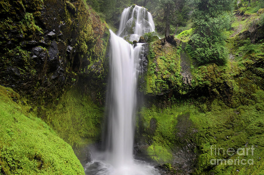 Falls Creek Falls in Washington  Photograph by Bruce Block