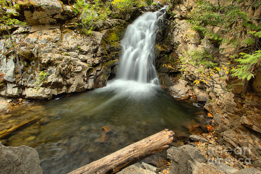 Falls Creek Falls Plunge Pool Photograph by Adam Jewell
