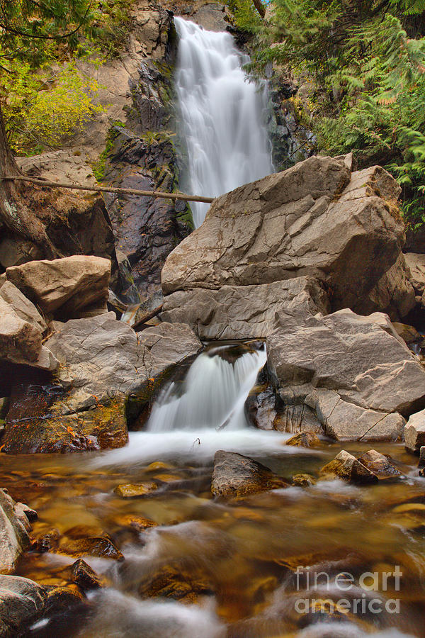 Falls Creek Falls Portrait Photograph by Adam Jewell
