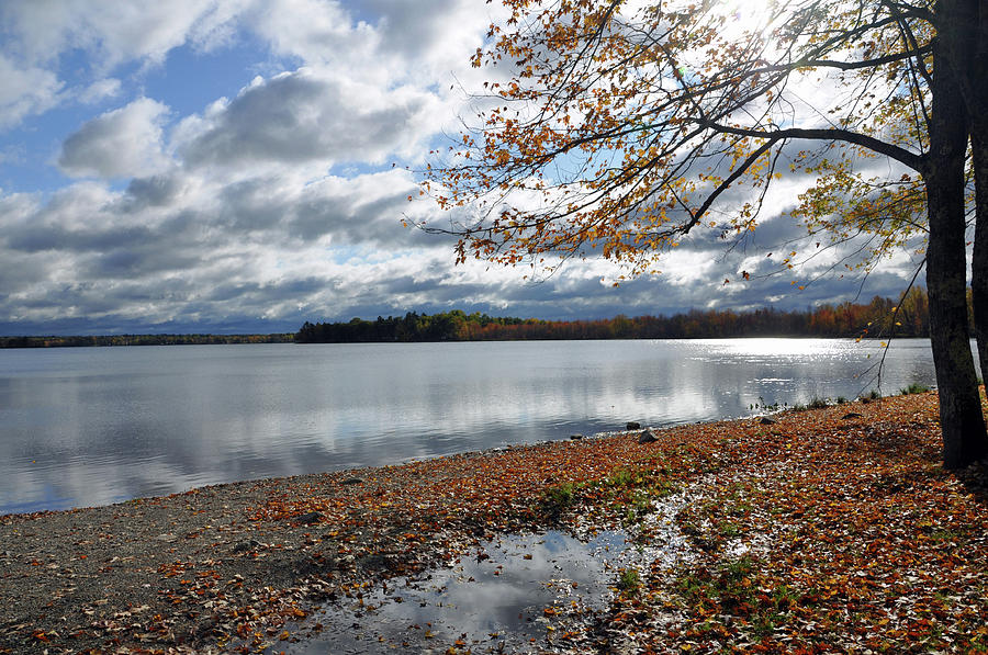 Fall in Maine Photograph by Glenn Gordon