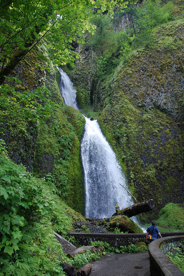 Falls in Columbia Gorge Photograph by Bruce Lowry | Fine Art America