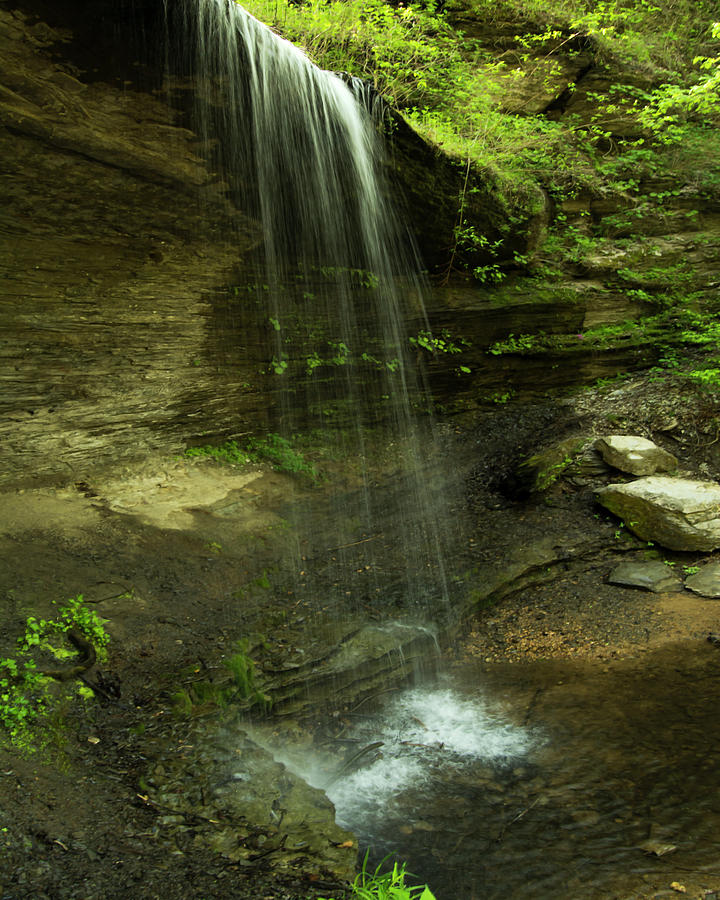 Falls in Spring Photograph by Pamela Peters