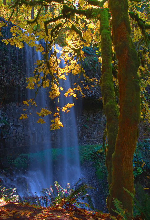 Falls in the Fall Photograph by Dale Stillman