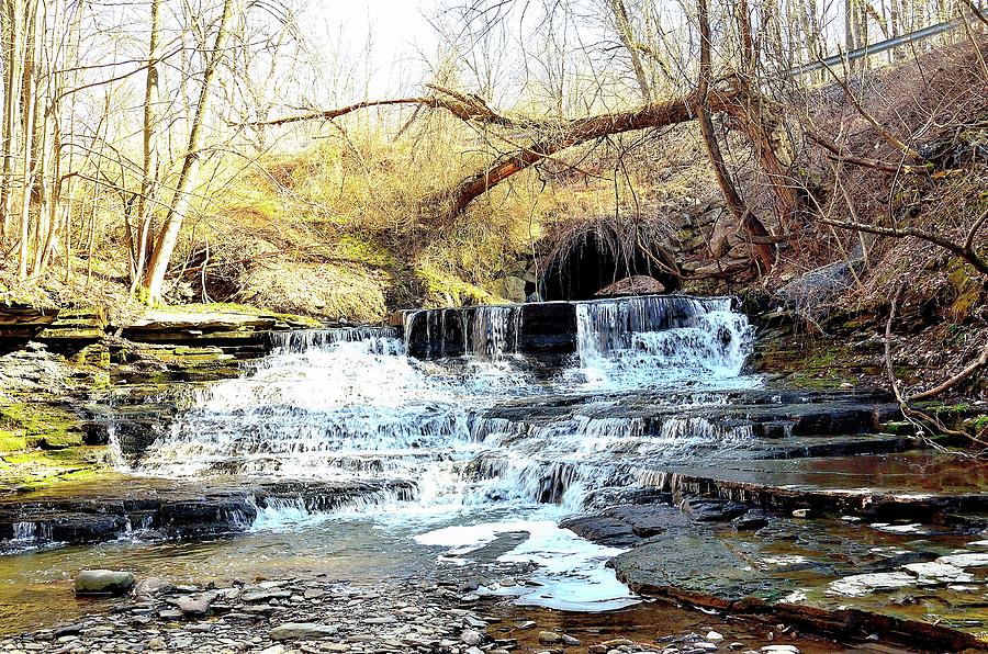 Falls In The Woods Photograph