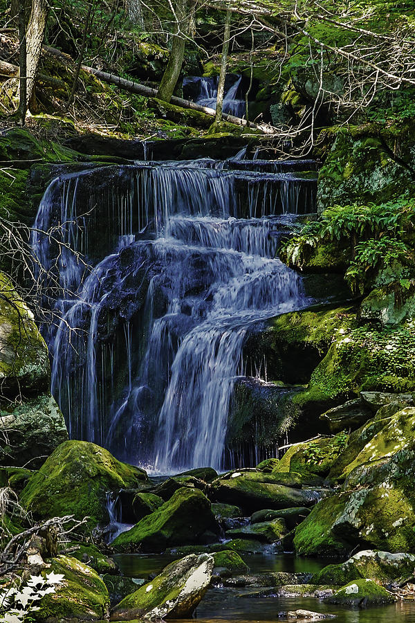 Falls in Vermont Mountain Stream  Photograph by Vance Bell