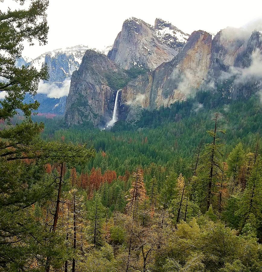 Falls in Yosemite B Photograph by Phyllis Spoor