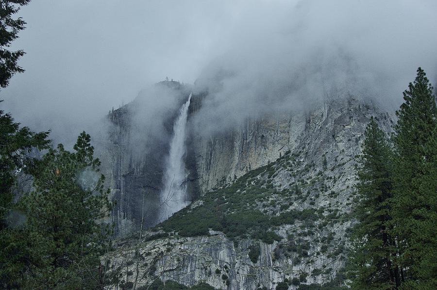 Falls in Yosemite Photograph by Phyllis Spoor