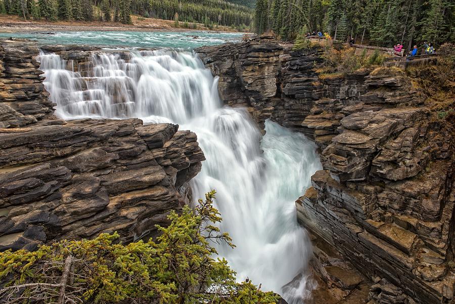 Falls of the Athabasca Photograph by Philip Kuntz - Fine Art America