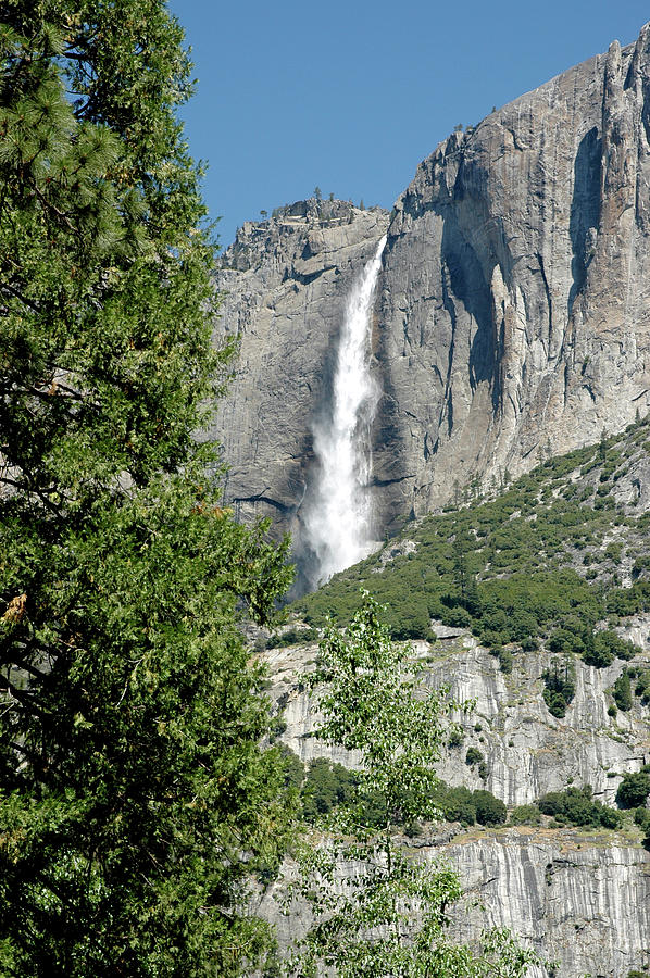 Yosemite National Park Photograph - Falls of Yosemite beyond the trees by LeeAnn McLaneGoetz McLaneGoetzStudioLLCcom