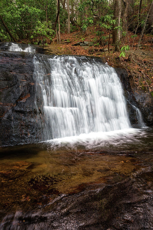Falls on Davis Creek Photograph by Alex Mironyuk