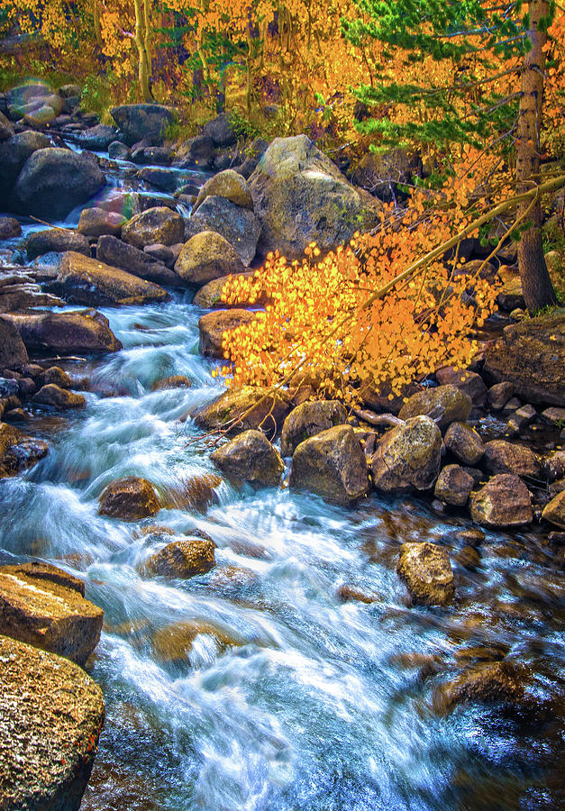 Fall Photograph - Falls Rush to South Lake by Lynn Bauer