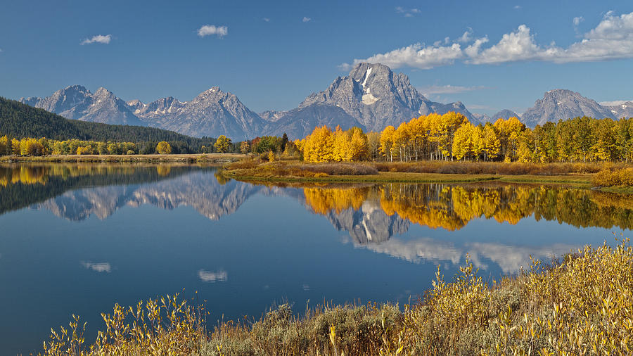 Falltime At Oxbow Bend Photograph by Wes and Dotty Weber