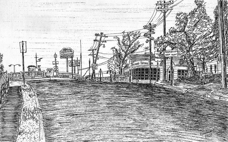 Falmouth National Bank at entrance to Woods Hole Drawing by Vic Delnore