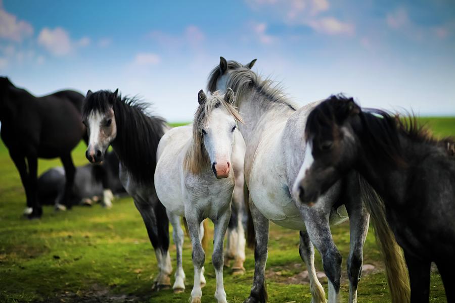 Family Photograph by Ca Photography - Fine Art America