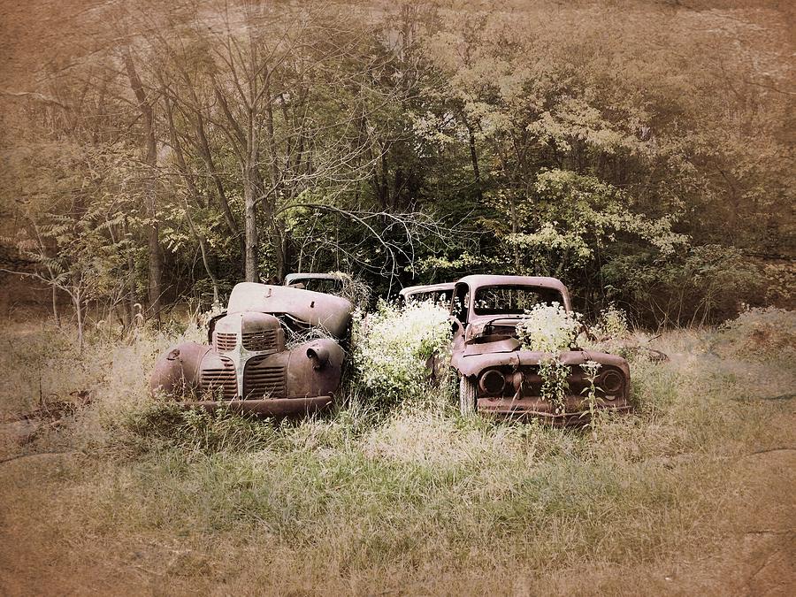 Car Photograph - Family Cars by Jeff Oates